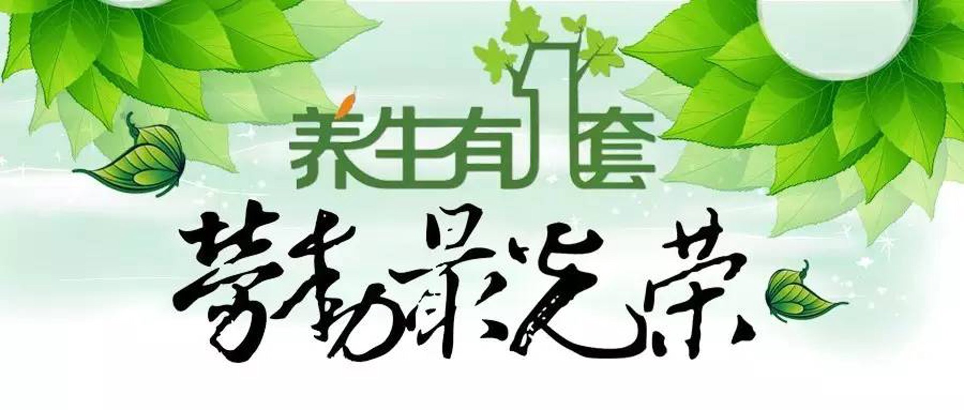 51健康养生